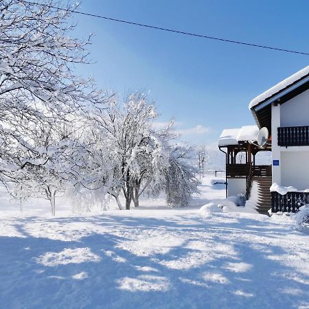 Apartment Lipa Ириновац Экстерьер фото